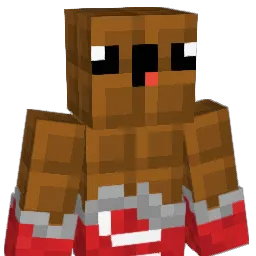 Napstamate Minecraft avatar bust