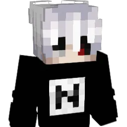Naqvity Minecraft avatar bust