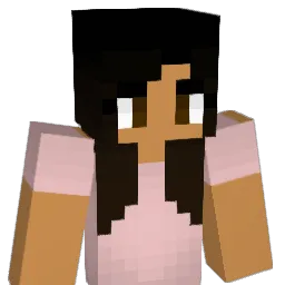 Narely24 Minecraft avatar bust