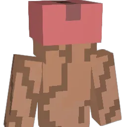 Narthex Minecraft avatar bust