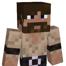Narudura Minecraft avatar bust