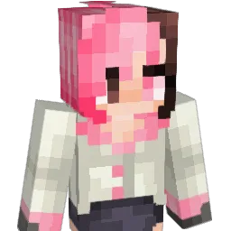 Narwhal69 Minecraft avatar bust