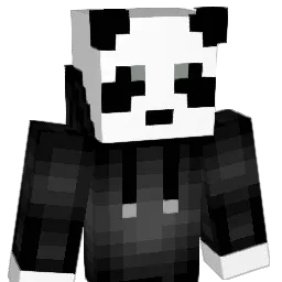 Narwhale8 Minecraft avatar bust