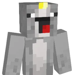 NarwhaleTamer Minecraft avatar bust