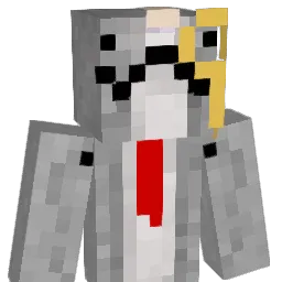 NarwhalsRuleU Minecraft avatar bust