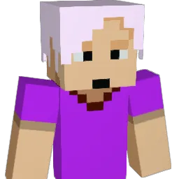NasTV_ Minecraft avatar bust