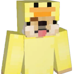 NashHong1119 Minecraft avatar bust