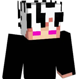 Nashkyu Minecraft avatar bust