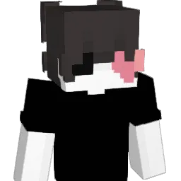 Nastheoppastoppa's Minecraft skin