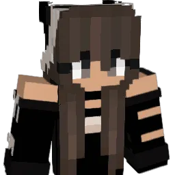 NatCon3 Minecraft avatar bust
