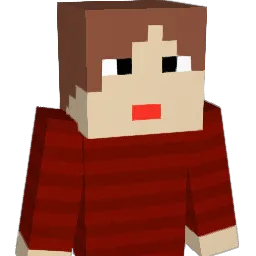 Naterich2011 Minecraft avatar bust