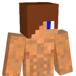 Nathaniel2010 Minecraft avatar bust