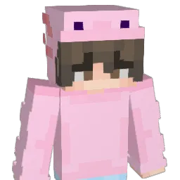 Natl1 Minecraft avatar bust