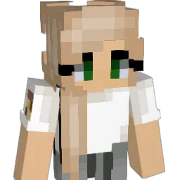 Nattis19 Minecraft avatar bust