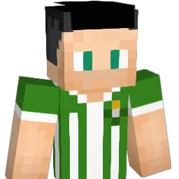 Naulerin0 Minecraft avatar bust