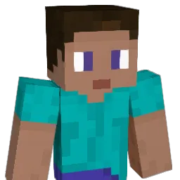 Navebackwards Minecraft avatar bust