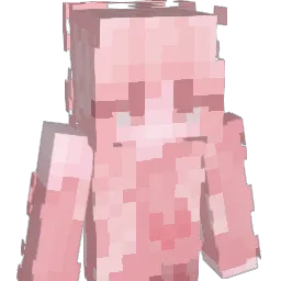 NaviX3z