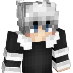 NavigationPrivee Minecraft avatar bust