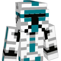 Naws_02 Minecraft avatar bust