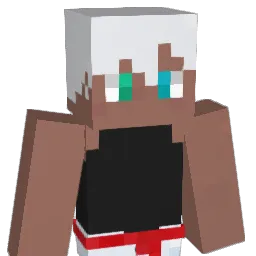 Nboshi2023 Minecraft avatar bust