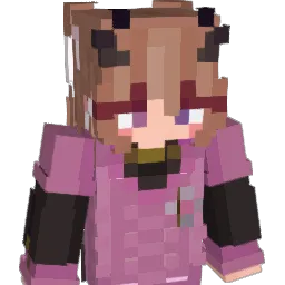 Ndscy12 Minecraft avatar bust