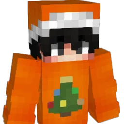 NeLeg1tniyDoge Minecraft avatar bust