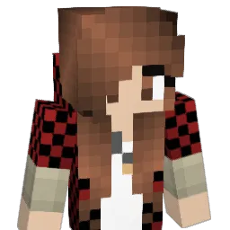 Neal360 Minecraft avatar bust