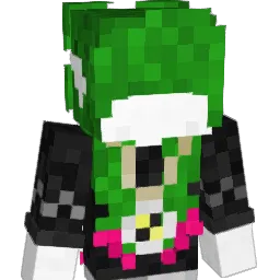 NeatArrow8416 Minecraft avatar bust