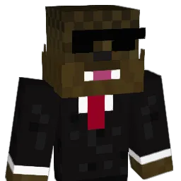 Nebicool10's Minecraft skin