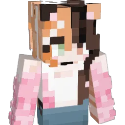 NeedyCat948 Minecraft avatar bust