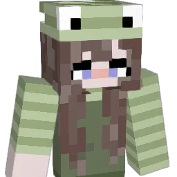 Neer4 Minecraft avatar bust