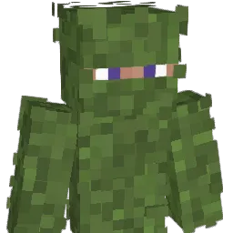 Neidra_Nilsem Minecraft avatar bust