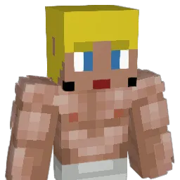 Neifnad Minecraft avatar bust
