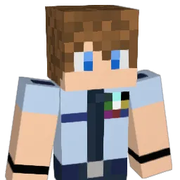 Nellis_30 Minecraft avatar bust
