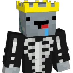 Nels1to Minecraft avatar bust