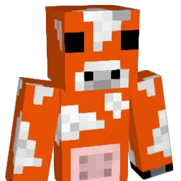 NelsonduckMTF Minecraft avatar bust