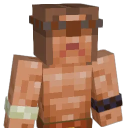 Nelwin16 Minecraft avatar bust