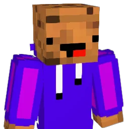 NenntMichSimon Minecraft avatar bust