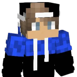 NeoNight1905 Minecraft avatar bust