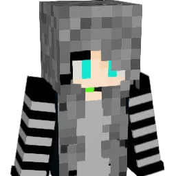 Neo_225 Minecraft avatar bust