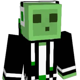 NeonLight118 Minecraft avatar bust