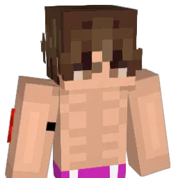 Neorix Minecraft avatar bust