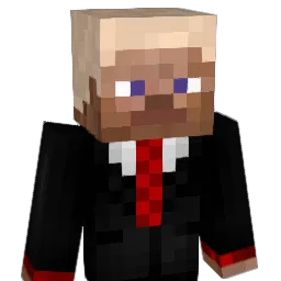 NerbeisXD Minecraft avatar bust