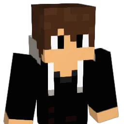 Nerox_5339 Minecraft avatar bust