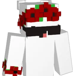 NessaxD Minecraft avatar bust