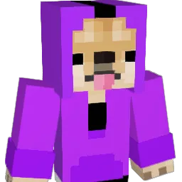 Nessi_23 Minecraft avatar bust