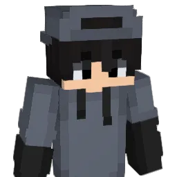 NetMc_ Minecraft avatar bust