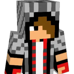NetSkill Minecraft avatar bust