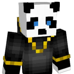 NetherPvPz Minecraft avatar bust