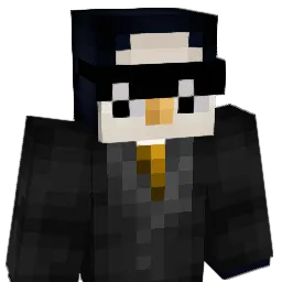 Netplan Minecraft avatar bust